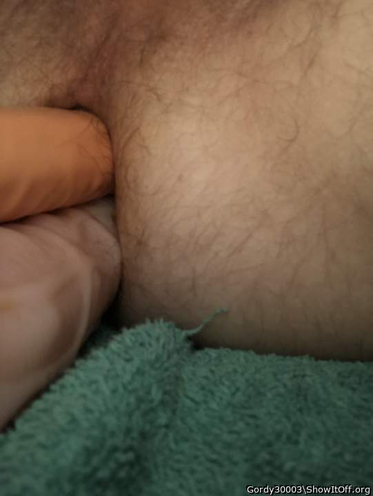 Photo of a bald-headed mouse from Gordy30003