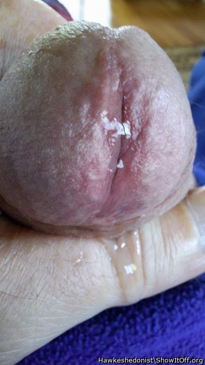 Photo of a equipment from Hawkeshedonist