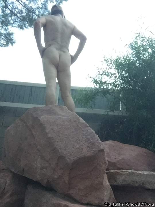 Photo of a cock from Old_fuhker