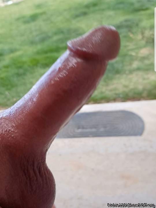Photo of a snake from Richie129