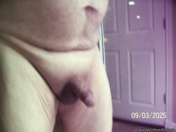 Photo of a tool from Walddo