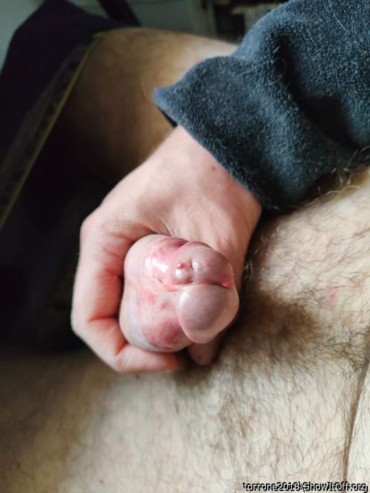 Photo of a third leg from torrone2018