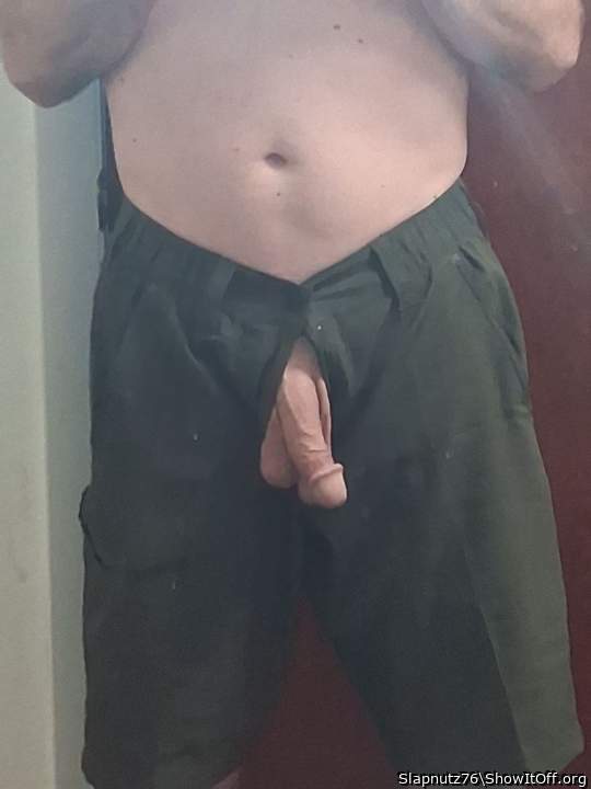 Photo of a weasel from Slapnutz76