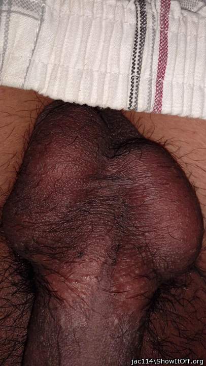 Testicles Photo from jac114