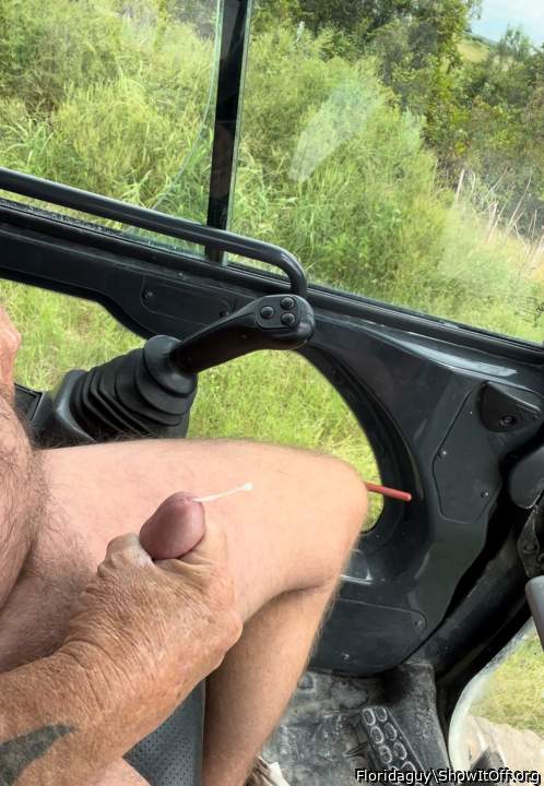 Photo of a rooster from Floridaguy