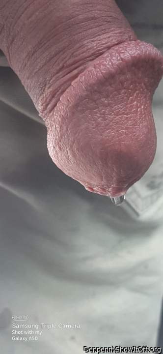 Photo of a stiffie from Denpenn