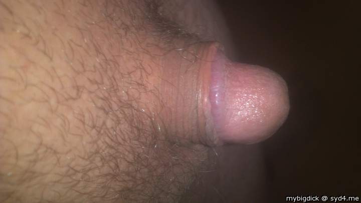 Photo of a penis from mybigdick