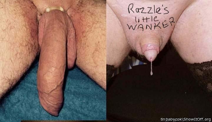 Happy to suck off razzles wanker & swallow his cum !!     