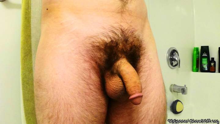 Photo of a ram rod from CDGooner