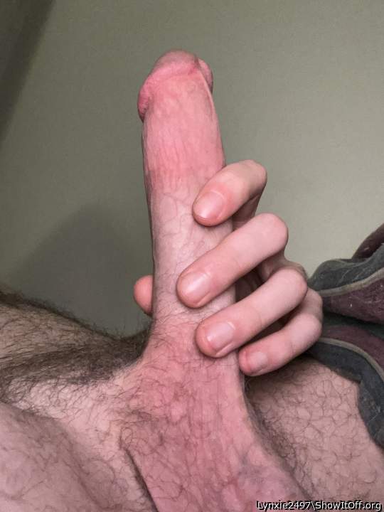 Photo of a bat from Lynxie2497