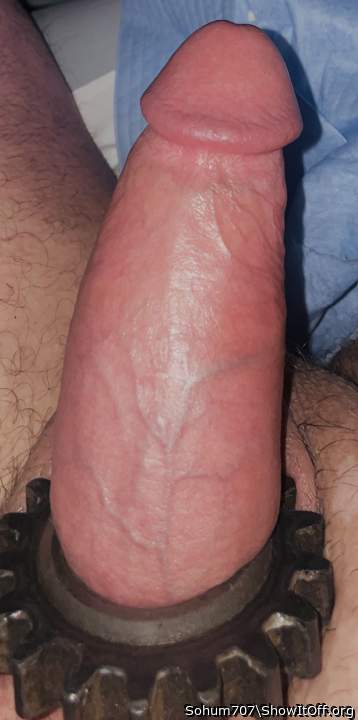 Photo of a penile from Sohum707