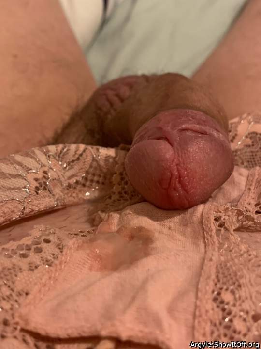 Photo of a cock from Argyle