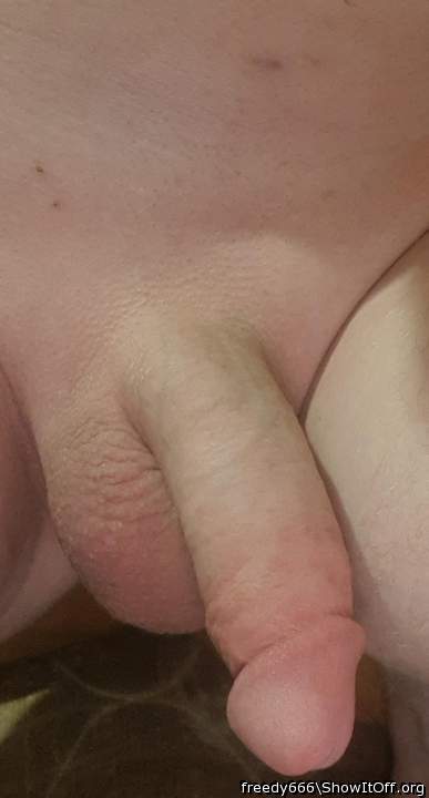 Photo of a penile from ShavedOz