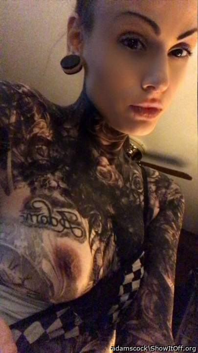 Photo of a cavalier from adamscock