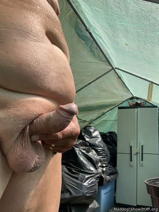 dream balls! delicious boner!   