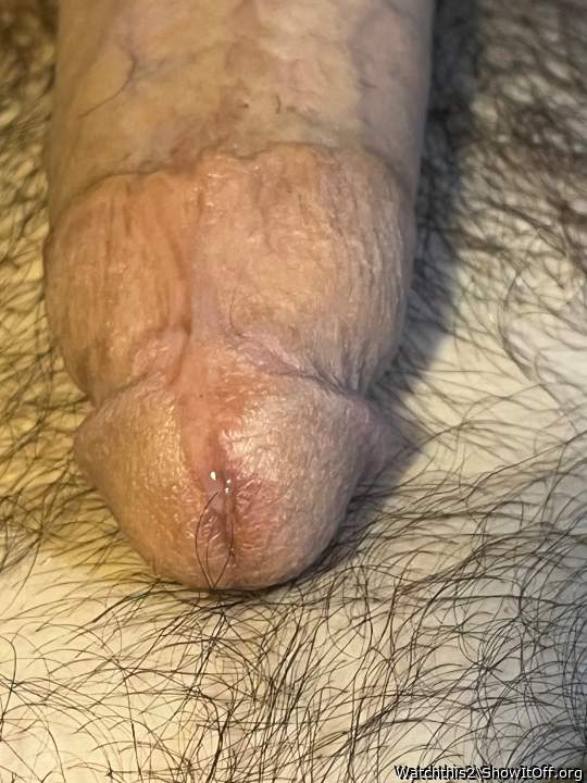 Photo of a bat from Watchthis2