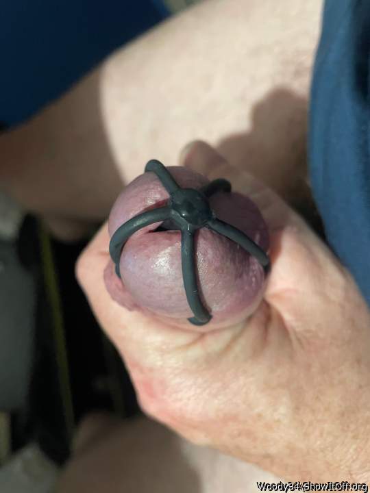 Photo of a boner from Woody34