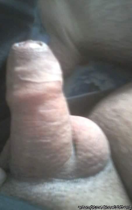 Photo of a dick from antony51me