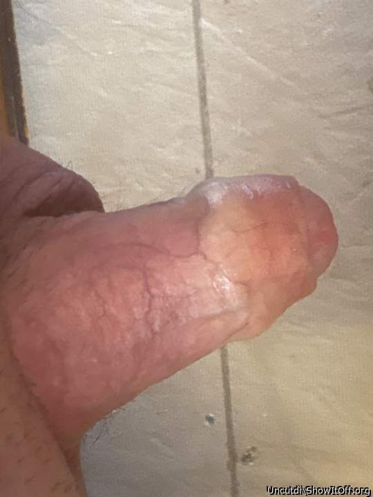 Photo of a python from Uncutdi