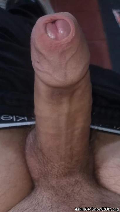 Photo of a pecker from 4skin64