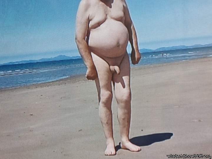 Photo of a lizard from wilsden