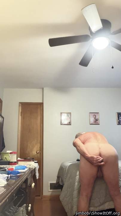 Photo of a weasel from jimbobi