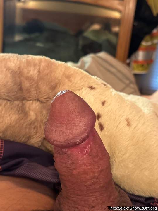 Photo of a penis from ThickStick