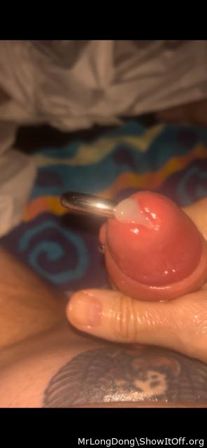 Photo of a penis from MrLongDong