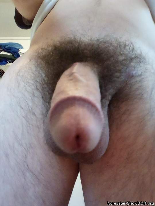 #cock #show