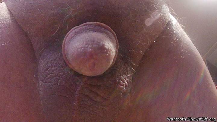 Photo of a bald-headed mouse from Wantboth