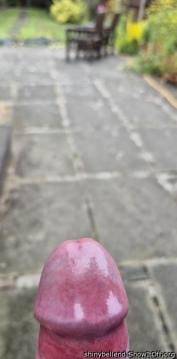 My Polished Bell End Looking Down The Garden