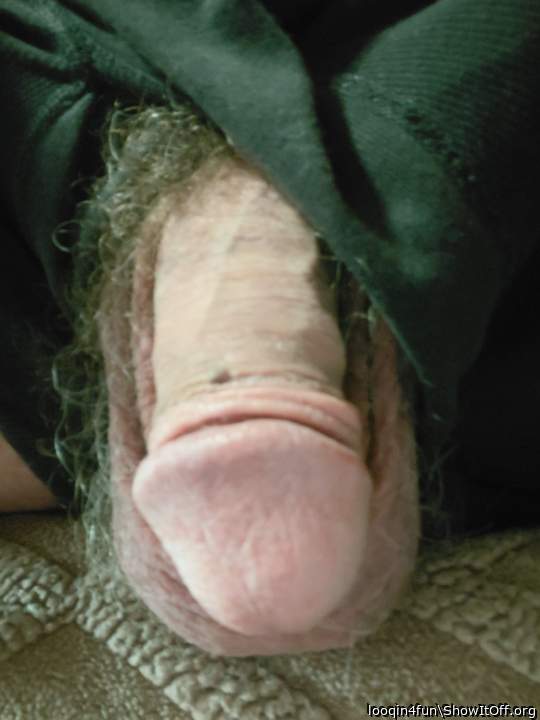 Photo of a cavalier from looqin4fun