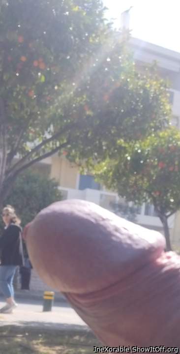 Flashing cock in front of strange women