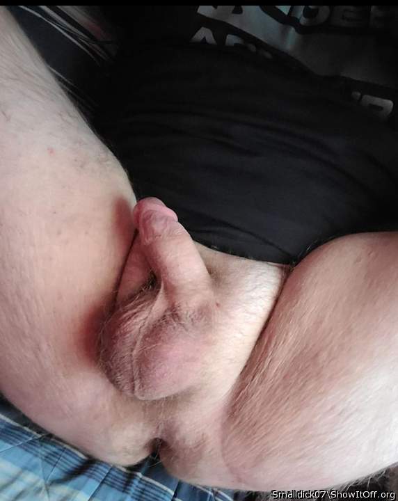 Photo of a weasel from Smalldick07