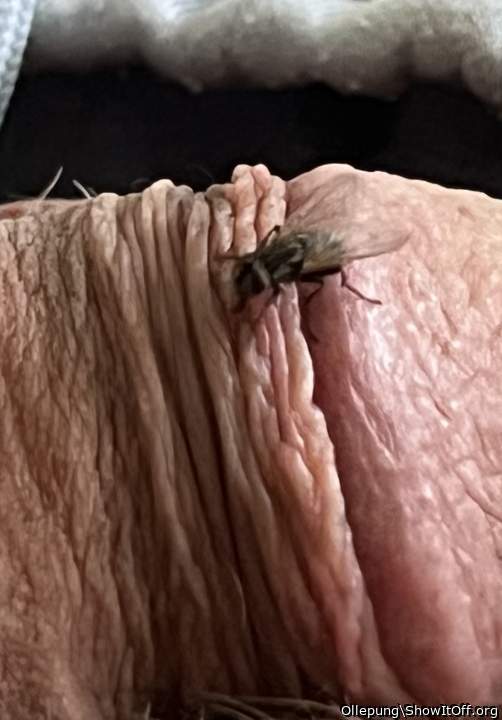 Photo of a thing from Ollepung