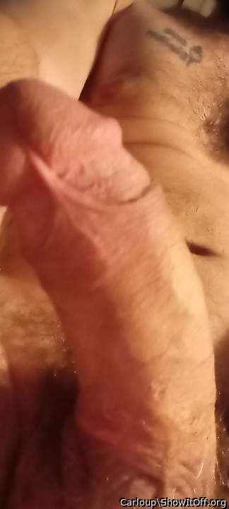 Profil view