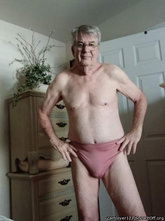 Photo of a bat from camlover123