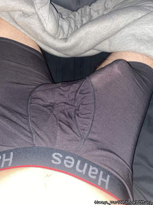 Photo of a cavalier from Always_Hard69