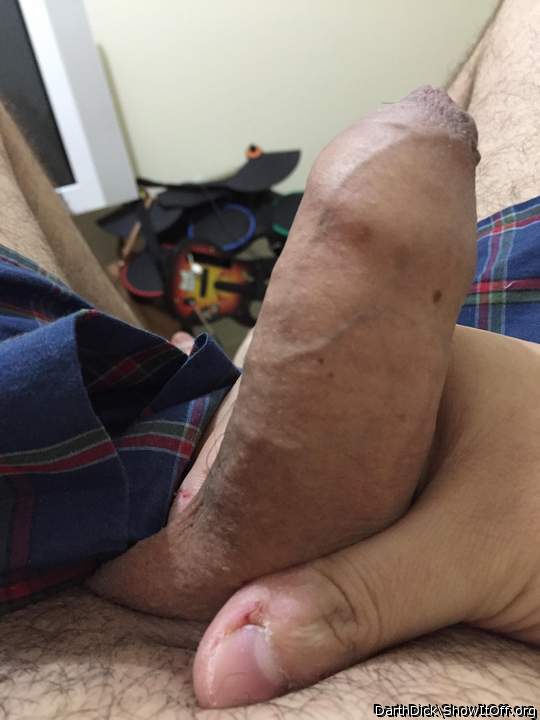 Photo of a middle leg from DarthDick