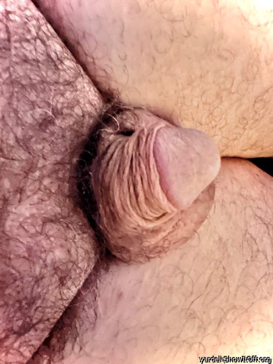 a small piece of horny