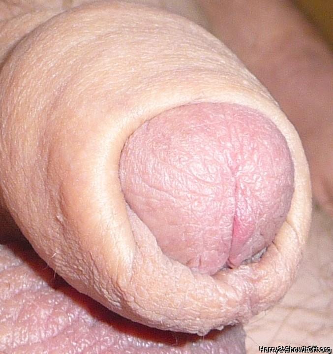 Photo of a bat from Harry2