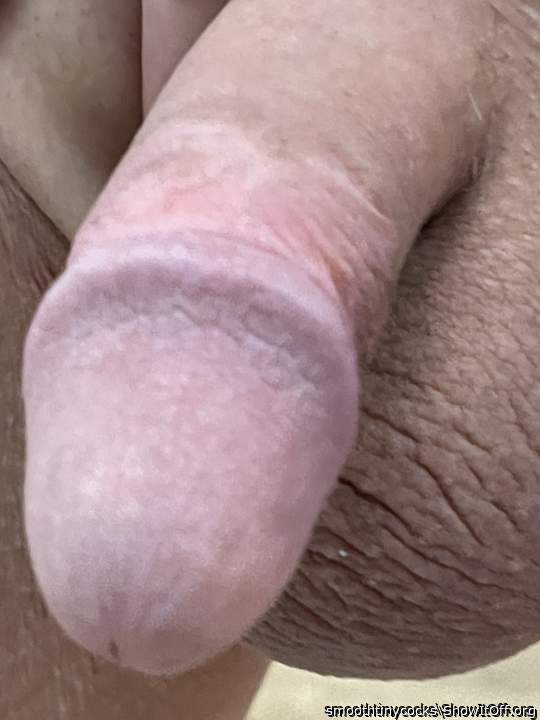 hairless small cock and balls