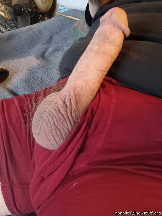fantastic dick 