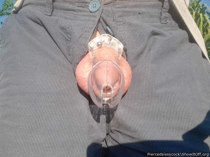 Photo of a stiffie from Piercedsissycock