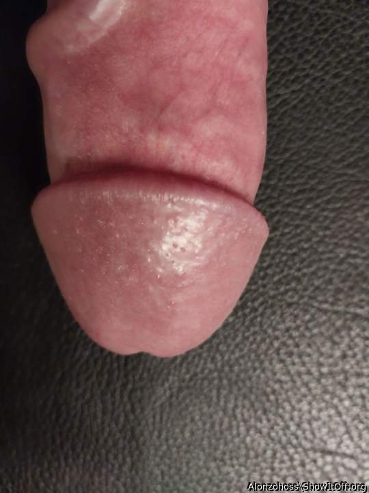 Photo of a stiffie from Alonzohoss