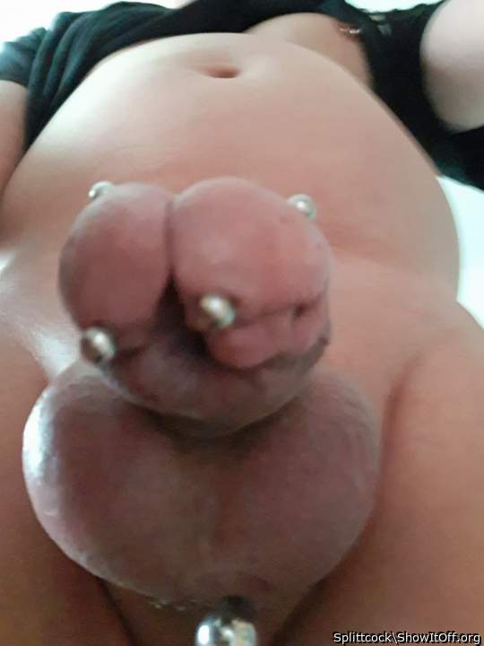 Photo of a dong from Splittcock
