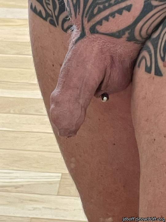 Photo of a lizard from jdboff