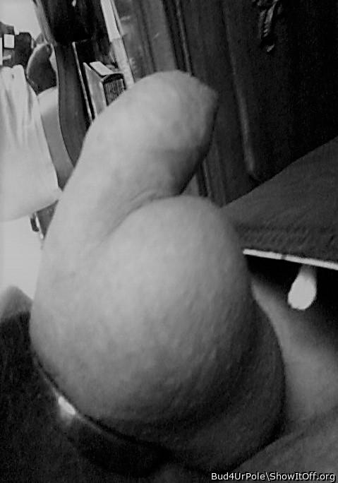 Cock and Balls b&w
