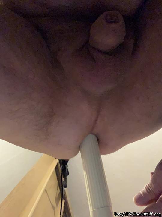 Id prefer to ride on a real nice chunky cock, never had the