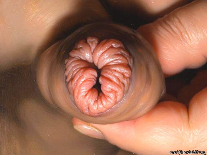 My wet and tender foreskin bud close-up Art Style